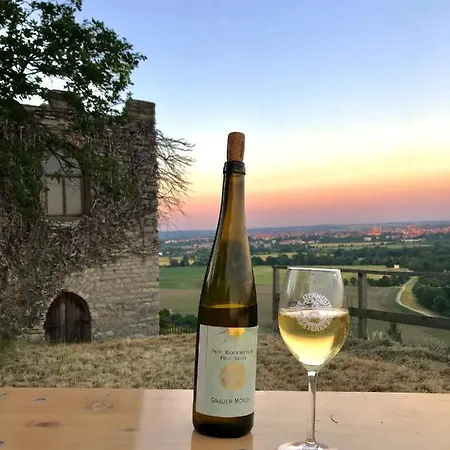Ferienhaus Portugieser Auf Dem Weinberg Naumburg  Exterior photo