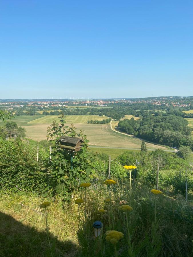 Portugieser Auf Dem Weinberg * Naumburg (Saale)